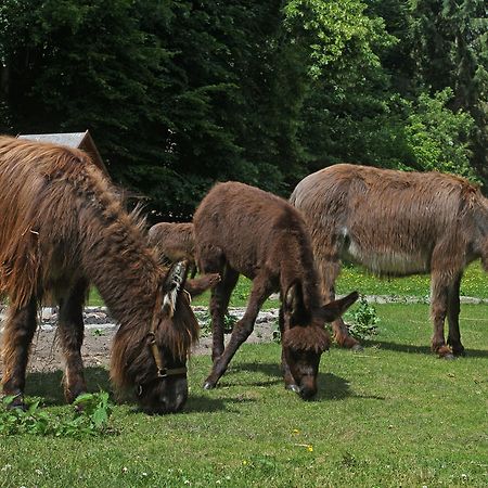 Hotel Boltenmuehle Guhlen Glienicke Eksteriør billede